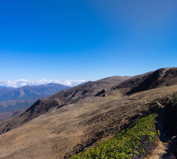 Dagala Trek mountain trail in Bhutan
