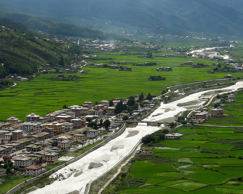 Paro_01