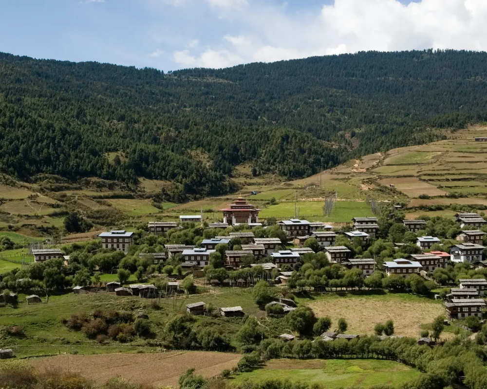 Ura (7)